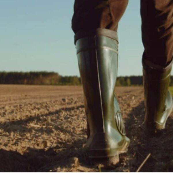 Laarzen (3648 x 1904 mm)