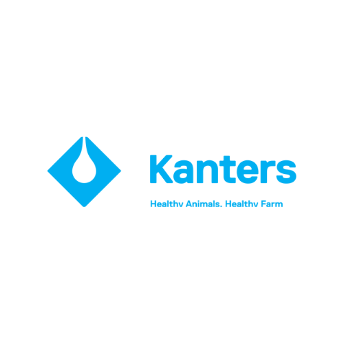 Template logo website