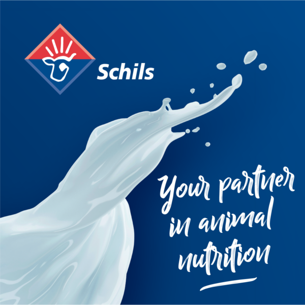 Schils-partner